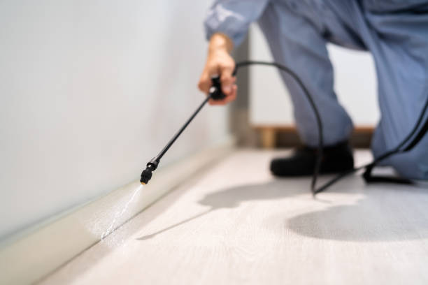 Licensed Pest Control service in Chula Vista, TX - Show Me Pest Control