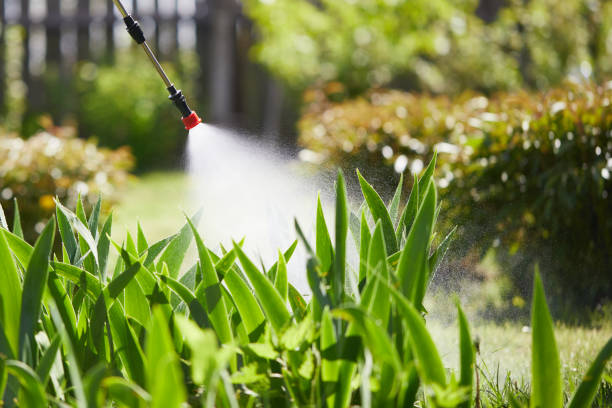 24/7 Emergency Mosquito Control experts in Chula Vista, TX