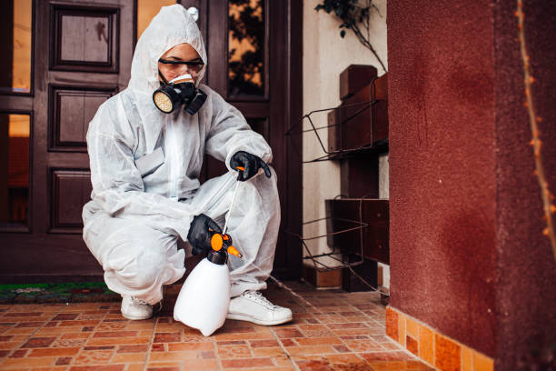 Reliable Mosquito Control contractor in Chula Vista, TX by Show Me Pest Control